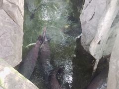 -青青世界