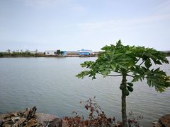 -十四涌水产中心
