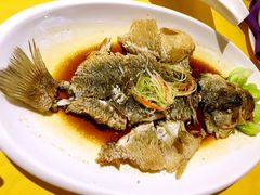 -鱼翅楼·津派砂锅鱼翅(水上公园店)
