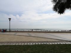 -日照灯塔风景区