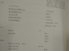-新加坡航空公司(ION)