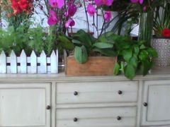 android_upload_pic-春暖花开(西溪店)