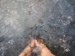 -水晶之星洗浴温泉汗蒸