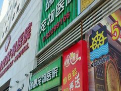 -瑞鹏宠物医院华南总院·夜诊·心脏科·骨科