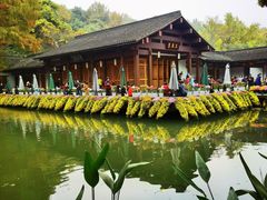 -杭州植物园