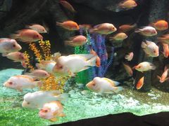 -泉城欧乐堡海洋极地世界
