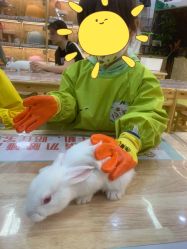 -萌宠家互动乐园