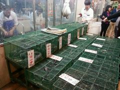 -荔城生鲜盛宴(番禺旗舰店)