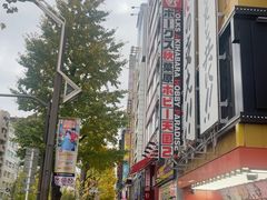 -秋叶原电器街