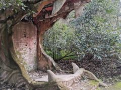 -杭州黄龙洞
