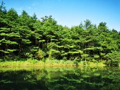 -四明山国家森林公园