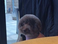 -铜锣湾·有麝自然香(重庆新天地店)