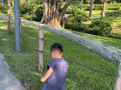 -云溪植物园