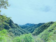 -老象峰