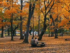 -成都濑川外国语学校