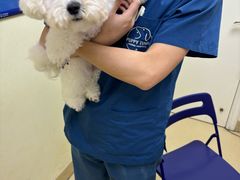 -芭比堂动物医院广州顽皮分院