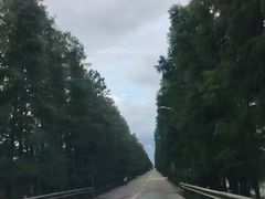 -大湾区中央湿地公园