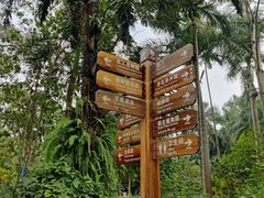 -中国科学院西双版纳热带植物园