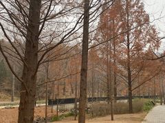 -白水寺森林公园