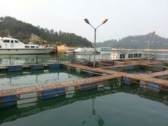 河源万绿湖河鱼基地-合和美食馆