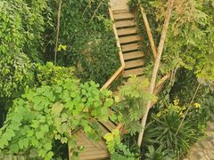 -郑州植物园