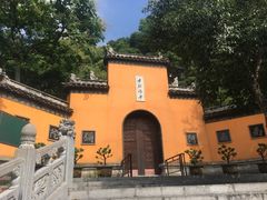 -鸡鸣赐茶(鸡鸣寺路店)