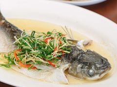 -大庆美食·顺德鱼生顺德菜