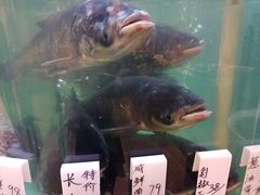 -美乐食街(小南店)