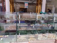 水产区-四海鲜渔家菜(黄金海岸店)