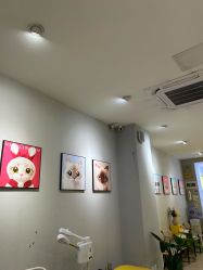 -洗脸猫·洗脸吧