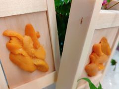 -黑松白鹿(金融街店)