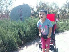 -永定河休闲森林公园