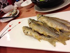 香煎平头鱼-御唐府海珊瑚主题餐厅