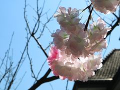 -星巴克臻选(思南公馆店)