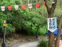 -紫云谷景区