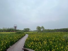 -永定河休闲森林公园