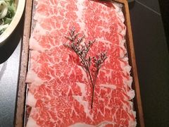 -季季山·云南野生菌火锅(上海首店)