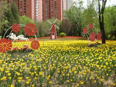 -迎泽公园