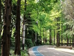 -苏州河梦清园环保主题公园