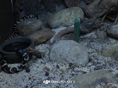 -南昌海洋公园