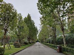 -大渡口区义渡公园