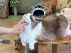 -江南大学(蠡湖校区)