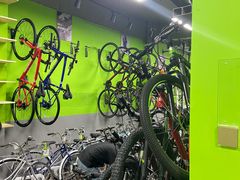 -道路口单车爱瓦士dahon大行