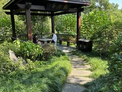-杭州花家山庄