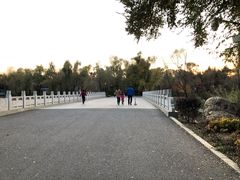 -长春市南湖公园