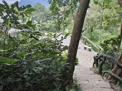 -梧桐山风景名胜区