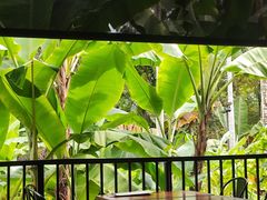 -植物园哈利亚餐厅