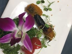 -素行天下(国投财富广场店)