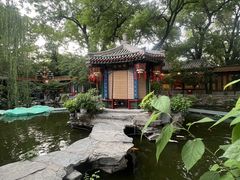 -白家大院·王府宫廷菜(苏州街店)