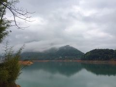-广州市流溪河国家森林公园